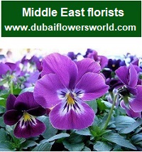 Middle east flower delivery
