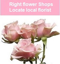 Right flower shops